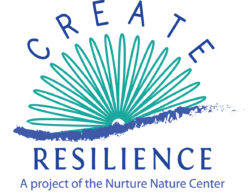CREATE Connections – a new grant project linking a vision of resilience to action