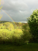 Echols-rainbow-over-back-of-yard-scaled