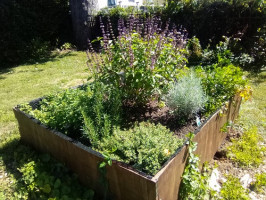 herb-garden-low-res