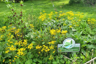 Nurture Nature Center receives 2022 Governor’s Award for Environmental Excellence through the Pennsylvania Department of Environmental Protection