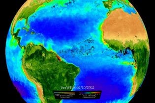 SOS Dataset: Biosphere